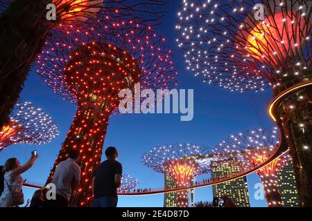 Giardini dalla baia, Singapore Foto Stock