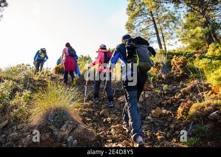 Trekking al Parco Naturale Sierra de las Nieves, Provincia di Malaga. Andalusia. Spagna meridionale Europa Foto Stock