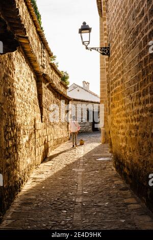 Strade acciottolate a Catedral de la Natividad de Nuestra Señora. Cattedrale in stile rinascimentale in Plaza Santa Maria. Baeza, patrimonio dell'umanità dell'UNESCO. JA Foto Stock