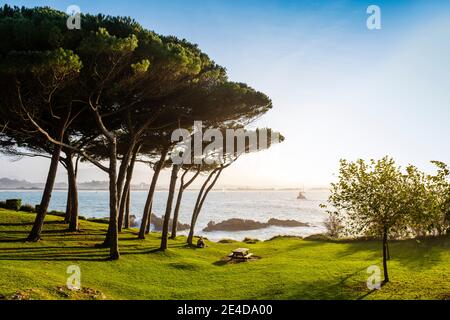 Giardini Península de la Magdalena. Santander, Mar Cantabrico, Cantabria, Spagna settentrionale, Europa Foto Stock