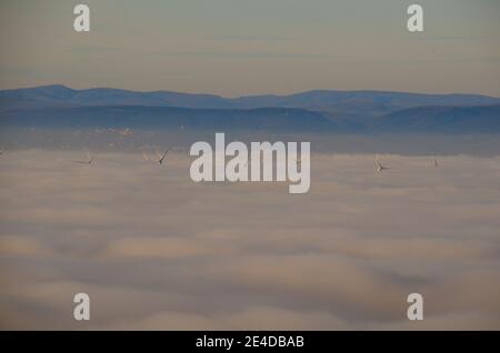 molte turbine eoliche in nebbia fitta Foto Stock