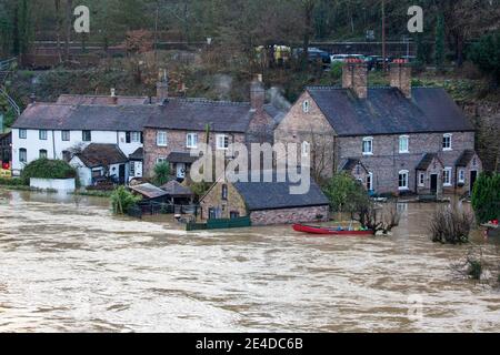Shropshire, Regno Unito. 23 gennaio 2021. I livelli del fiume Severn nello Shropshire hanno continuato a salire durante la notte, causando gravi inondazioni in alcune aree. Le case sul lungofiume sono particolarmente vulnerabili alle inondazioni di questo periodo dell'anno. Credit: Rob carter/Alamy Live News Foto Stock