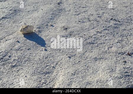 piccola pietra calcarea bianca con ombra al sole Foto Stock