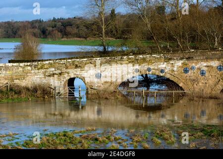 Fiume Avon allagamento a Barford Bridge, Warwickshire, Inghilterra, Regno Unito. Gennaio 2021. Foto Stock