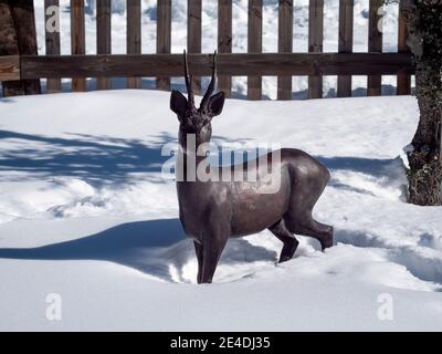 Scultura di capriolo in bronzo nella neve e recinzione in legno sullo sfondo. Foto Stock