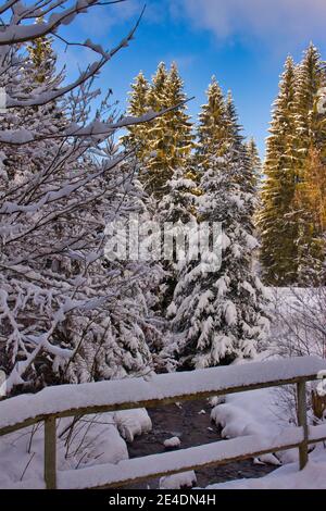 ponte sul piccolo fiume nella foresta invernale con cielo blu Foto Stock