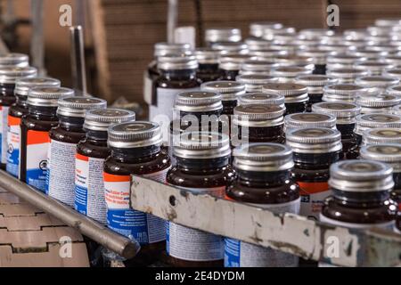 Bottiglie di colla riempite e confezionate, Philadelphia, USA Foto Stock