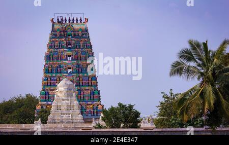 Vista della bella torre del tempio vicino a Chennai in Tamil Nadu, India Foto Stock