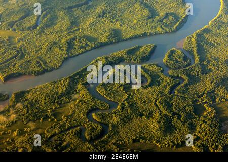 Fiume nel tropico Costa Rica, Corcovado NP. Laghi e fiumi, vista dall'aereo. Erba verde in America Centrale. Alberi con acqua in stagione piovosa. Phot Foto Stock