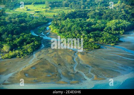 Fiume nel tropico Costa Rica, Corcovado NP. Laghi e fiumi, vista dall'aereo. Erba verde in America Centrale. Alberi con acqua in stagione piovosa. Phot Foto Stock