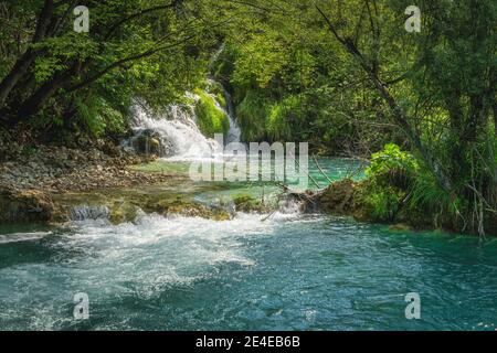 Piccola cascata illuminata dalla luce del sole con alberi che si appoggiano su di essa. Verde lussureggiante foresta, Plitvice Lakes National Park patrimonio mondiale dell'UNESCO in Croazia Foto Stock