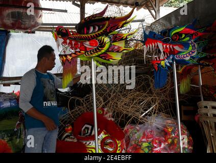 Bogor, Indonesia. 23 gennaio 2021. Un artigiano creatore di leoni (Barongsai) e drago (Liong) costumi da ballo, ispeziona le sue creazioni all'interno della sua casa prima delle celebrazioni lunari di Capodanno, a Bogor, Indonesia il 23 gennaio 2021. Milioni di cinesi in tutto il mondo celebreranno il nuovo anno lunare, il 2021 è l'anno dell'Ox, che cade il 12 febbraio in mezzo alla pandemia globale del coronavirus COVID-19. (Foto di Adrian/INA Photo Agency/Sipa USA) Credit: Sipa USA/Alamy Live News Foto Stock