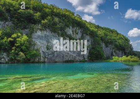 Alta scogliera coperta di alberi verdi con lago pulito e turchese sotto di esso. Parco Nazionale dei Laghi di Plitvice Patrimonio dell'Umanità dell'UNESCO, Croazia Foto Stock