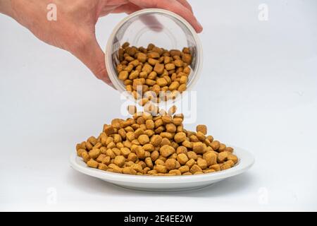 Colpo di closeup di una persona che versa fuori cibo animale su una piastra Foto Stock