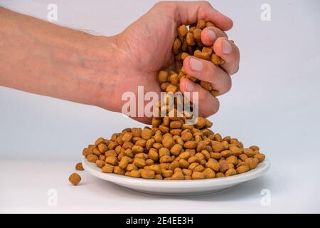 Colpo di closeup di una persona che versa fuori cibo animale su una piastra Foto Stock