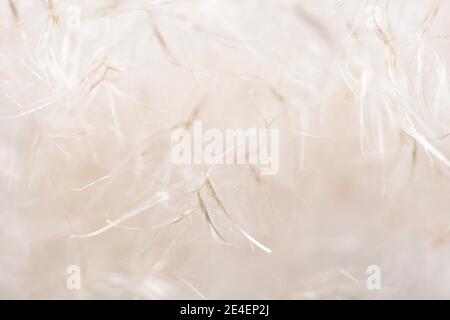 Dolce beige sfondo pastelli, matrimonio, anniversario, tema valentines. Foto Stock
