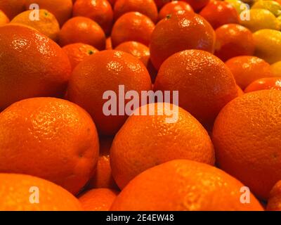 File di arance fresche e limoni sullo sfondo vicino su Foto Stock
