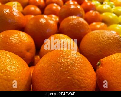File di arance fresche e limoni sullo sfondo Foto Stock