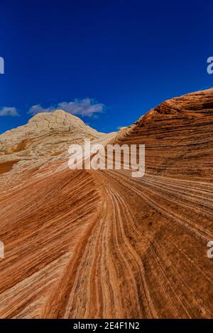 Formazioni di arenaria Navajo scolpite e striate di White Pocket, Vermilion Cliffs National Monument, Arizona, USA Foto Stock