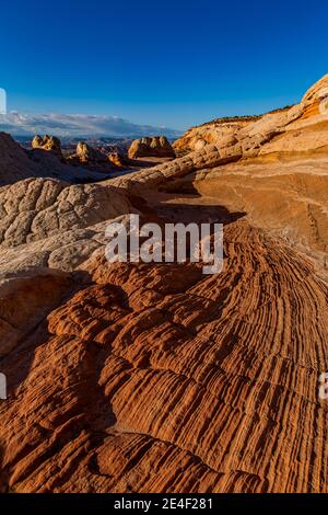 Formazioni di arenaria Navajo scolpite e striate di White Pocket, Vermilion Cliffs National Monument, Arizona, USA Foto Stock