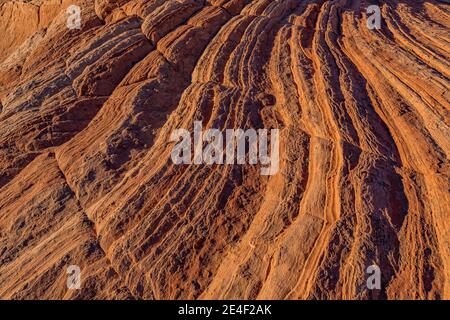 Formazioni di arenaria Navajo scolpite e striate di White Pocket, Vermilion Cliffs National Monument, Arizona, USA Foto Stock