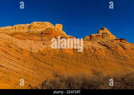 Formazioni di arenaria Navajo scolpite e striate di White Pocket, Vermilion Cliffs National Monument, Arizona, USA Foto Stock