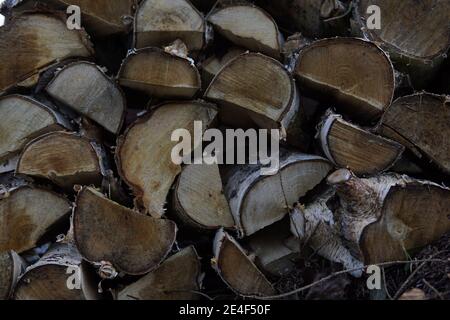 Pila di legna da ardere di betulla tagliata e pronta ad essere acceso Foto Stock