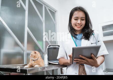 giovane veterinario sorridente mentre si utilizza un tablet digitale vicino a un gatto siede sul tavolo presso la clinica di veterinario Foto Stock