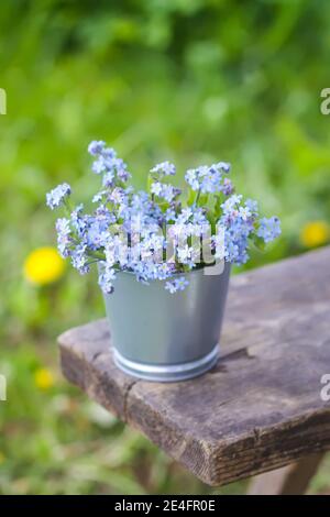 Dimentica-me-non blu primavera fiori fiori bouquet all'aperto sul legno banco Foto Stock