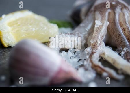 Tentacoli calamari su un piatto di ardesia con limone e aglio Foto Stock