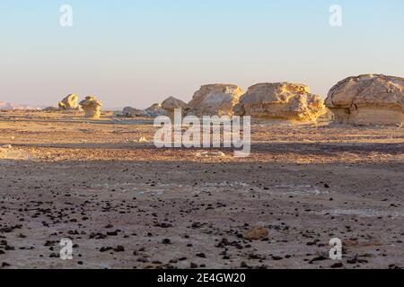 Bizzarre formazioni di arenaria nel deserto bianco, mattina presto, Farafra, Egitto Foto Stock