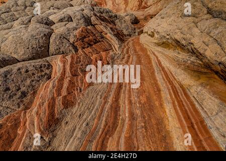 Formazioni di arenaria di Navajo in forme fantastiche a White Pocket, Vermilion Cliffs National Monument, Arizona, USA Foto Stock