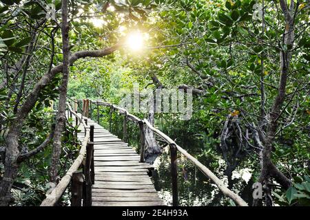 Passerella in legno attraverso le mangrovie di Mida Creek, Kenya Foto Stock