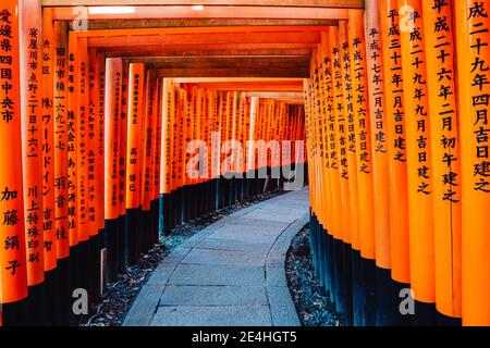 Il rosso e arancione Fushimi Inari Taisha Santuario a Fukakusa, Fushimi Ward nella città di Kyoto, una popolare attrazione turistica Foto Stock