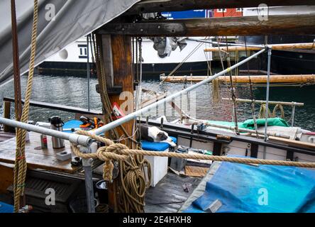 Un cane si rilassa sul ponte di una barca a vela d'epoca nel canale di Nyhavn, nel centro storico di Copenhagen, Danimarca Foto Stock