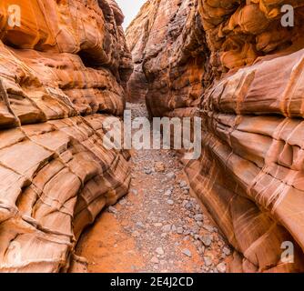 Slot Canyon con pareti pastello a Kaolin Wash, Valley of Fire state Park, Nevada, USA Foto Stock