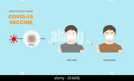 Vaccino anti virus inattivato per la protezione del covid-19 o del coronavirus. Illustrazione del vaccino covid-19 in siringa iniettando per due dosi nell'uomo. Illustrazione Vettoriale