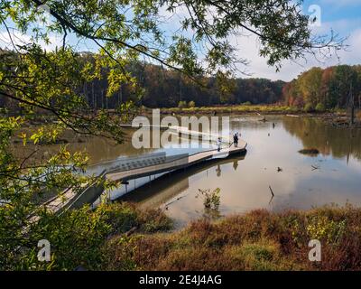 Le passeggiate lungo le paludi del Parco Huntley Meadows offrono vedute da vicino della fauna selvatica e del loro habitat. Foto Stock