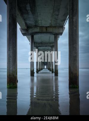 Sotto il molo di Scripps, la Jolla Foto Stock