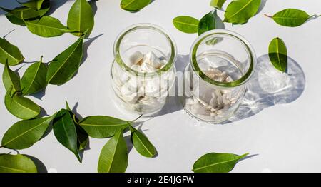 Due vasetti di vetro con pillole di integratori minerali. Foglie verdi. Sfondo bianco. Ombreggiatura in vetro trasparente. Argomenti di salute. Foto Stock