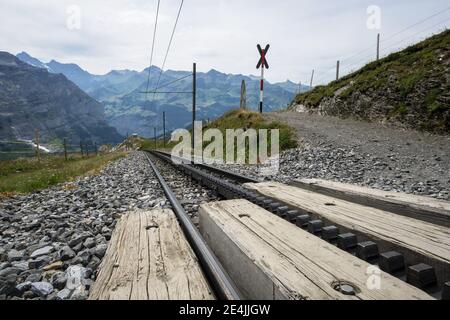 Primo piano dettaglio del sistema ferroviario a cremagliera Strub vicino alla stazione di Eigergletscher sulla ferrovia Jungfrau nell'Oberland Bernese, Svizzera Foto Stock
