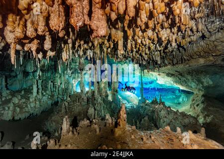 Subacqueo maschile esplorando tra formazione rocciosa in mare, Cenote Nariz, Quintana Roo, Messico Foto Stock