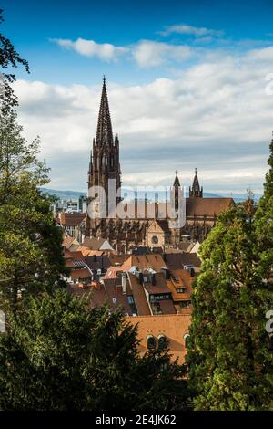 Freiburg Muenster, Freiburg im Breisgau, Foresta Nera, Baden-Wuerttemberg, Germania Foto Stock