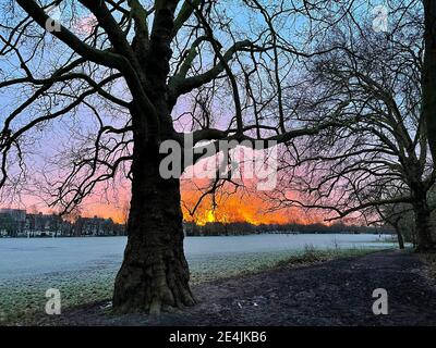 Londra, UK, 24 gennaio 2021 Alba sopra gelo coperto Wandsworth comune come freddo giorno con slitta previsto. Credit: JOHNNY ARMSTEAD/Alamy Live News Foto Stock