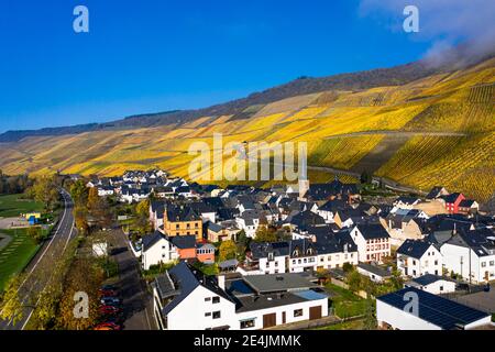 Germania, Renania-Palatinato, Bernkastel-Kues, elicottero vista della città rurale in autunno con vigneti collinari sullo sfondo Foto Stock