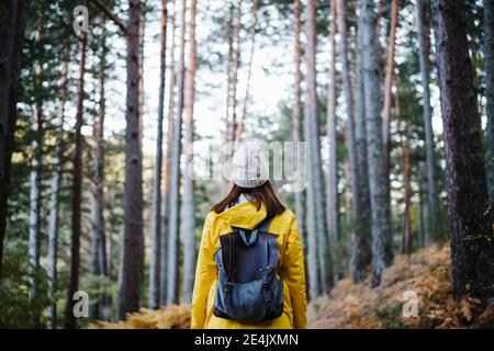 Donna in impermeabile gialla che cammina nella foresta in autunno Foto Stock