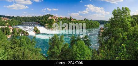 Cascate del Reno, Svizzera Foto Stock