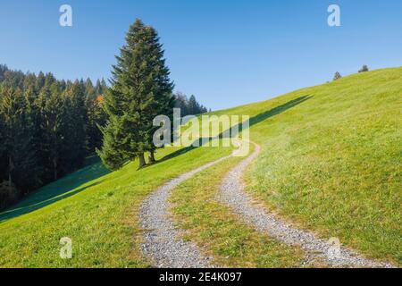 Sentiero sul passo di Ratenpass, Canton Zug Svizzera Foto Stock