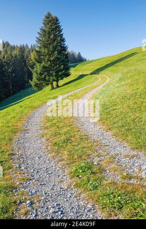 Sentiero sul passo di Ratenpass, Canton Zug Svizzera Foto Stock