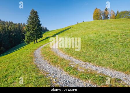 Sentiero sul passo di Ratenpass, Canton Zug Svizzera Foto Stock